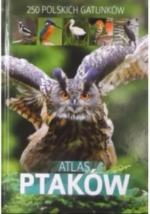 SBM Atlas ptaków - Dominik Marchowski - Rośliny i zwierzęta - miniaturka - grafika 2