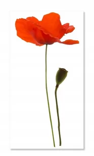 Naklejki na ścianę meble lustro 70cm Maki 3, 70x33 cm - Naklejki na ścianę - miniaturka - grafika 1