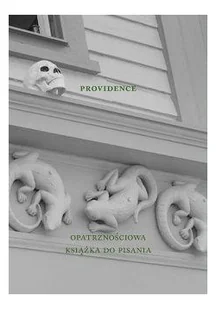 Providence - Fizyka i astronomia - miniaturka - grafika 3