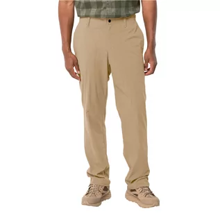 Spodnie męskie - Męskie spodnie Jack Wolfskin DESERT PANTS M sand storm - 46 - grafika 1