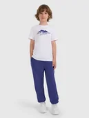 Spodnie i spodenki dla chłopców - 4F Spodnie polarowe chłopięce - granatowe 134 (8-9 lat) - miniaturka - grafika 1