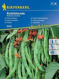 Fasola tyczna ROTBLUHENDE nasiona Kiepenkerl - Nasiona i cebule - miniaturka - grafika 1