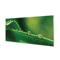 Tablice i flipcharty - Panel kuchenny Krople trawa makro 120x60 - miniaturka - grafika 1