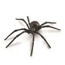 Collecta Pająk Czarna Wdowa - 88884 - L - Figurki dla dzieci - miniaturka - grafika 1