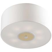 Lampy sufitowe - Amplex Nabo 40 plafon 4x9W biały 8717 - miniaturka - grafika 1
