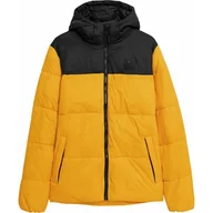 Kurtki i kamizelki sportowe męskie - Kurtka puchowa męska 4FAW23TDJAM243 4F - miniaturka - grafika 1