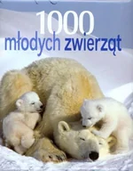 Książki o kulturze i sztuce - 1000 młodych zwierząt - miniaturka - grafika 1