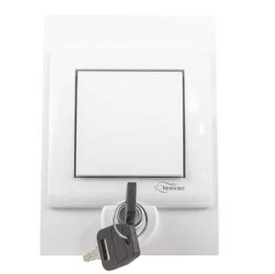 Gniazdo ssące na kluczyk srebrne - Gniazdka elektryczne - miniaturka - grafika 1