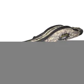 Inne akcesoria dla wędkarzy - Trójkomorowy Pokrowiec Na wędki Dragon STREET FISHING 145 cm - miniaturka - grafika 1