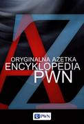 Słowniki języka polskiego - Wydawnictwo Naukowe PWN Oryginalna Azetka Encyklopedia PWN Praca zbiorowa - miniaturka - grafika 1