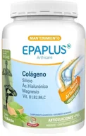 Suplementy naturalne - Suplement diety Epaplus Arthicare Collagen Matcha Tea 334.8 g (8430442010770) - miniaturka - grafika 1