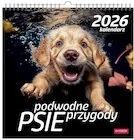 Kalendarze - Kalendarz 2026 wieloplanszowy kwadrat Psy pod wodą - miniaturka - grafika 1