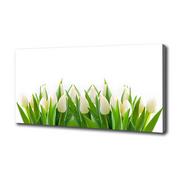 Obrazy i zdjęcia na płótnie - Foto obraz na płótnie Białe tulipany - miniaturka - grafika 1