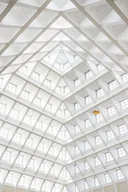 Plakaty - Galeria Plakatu, Plakat, Linie, premium, 40x50 cm - miniaturka - grafika 1