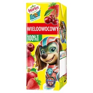 Soki i napoje niegazowane - Hortex Leon i Przyjaciele Sok 100 % wieloowocowy 200 ml - miniaturka - grafika 1