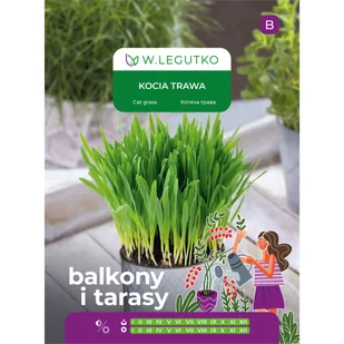 Kocia trawa nasiona 25g W. Legutko - Nasiona i cebule - miniaturka - grafika 1