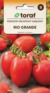 Nasiona i cebule - Pomidor gruntowy Rio Grande nasiona 0,5g / T / - miniaturka - grafika 1