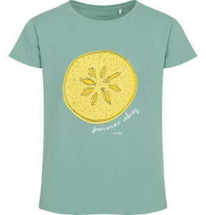 T-shirt z krótkim rękawem dla dziewczynki, z cytryną, zielony 9-13 lat - Bluzki dla dziewczynek - miniaturka - grafika 1