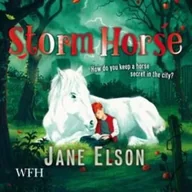 Audiobooki obcojęzyczne - Storm Horse Jane Elson - miniaturka - grafika 1