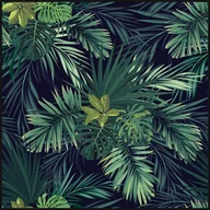 Obrazy i zdjęcia na płótnie - Obraz Deco box Liście 2 50 x 50 cm - miniaturka - grafika 1