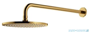 Omnires Y System prysznicowy podtynkowy termostatyczny złoto szczotkowane SYSYT05GLB | - Baterie umywalkowe Omnires Y System prysznicowy podtynkowy termostatyczny złoto szczotkowane SYSYT05GLB | - Baterie umywalkowe - miniaturka - grafika 3