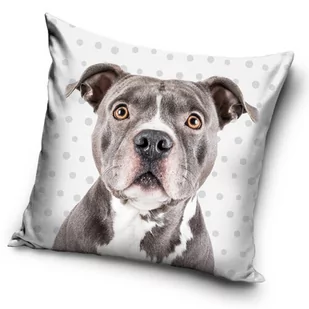 CX Poszewka Pies PD195007 DOG 40x40 cm 14711 - Poszewki na poduszki - miniaturka - grafika 1