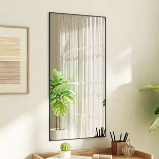 vidaXL Lustro na drzwi, czarne, 50x100 cm, szkło i aluminium - Lustra - miniaturka - grafika 1