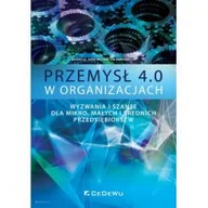 Ekonomia - Przemysł 4.0 w organizacjach null - miniaturka - grafika 1