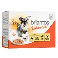 Mokra karma dla psów - Briantos Delicious Paté, 12 x 100 g - Kurczak - miniaturka - grafika 1