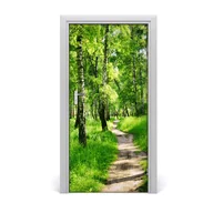 Naklejki na ścianę - Naklejka fototapeta na drzwi Las brzozowy, Tulup - miniaturka - grafika 1
