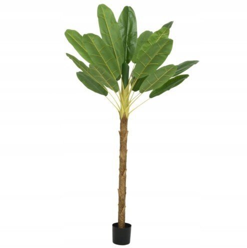 Kaemingk Bananowiec drzewko w doniczce sztuczne dekoracyjne 230cm KAE321959/ALL