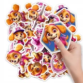 Szkolne artykuły papiernicze - NAKLEJKI NA ZESZYT NALEPKA Z POSTACIAMI PSI PATROL SKYE WZORY 10SZT - miniaturka - grafika 1