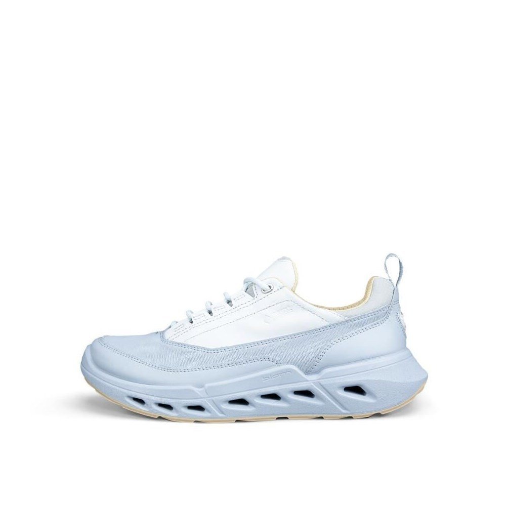 Biom 720 GTX