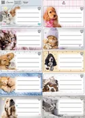 Szkolne artykuły papiernicze - Naklejki na zeszyty pasek The Sweet Pets kids - Beniamin - miniaturka - grafika 1