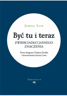 Być tu i teraz. Zwierciadło jasnego znaczenia - Religia i religioznawstwo - miniaturka - grafika 1