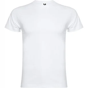 T-shirt Męski Bawełniany Koszulka męska ROLY Braco CA6550 WHITE XL - Koszulki męskie - miniaturka - grafika 1