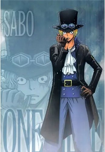 Plakat Anime Manga One Piece op_017 A3 (custom)