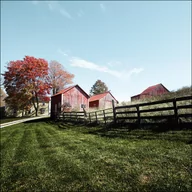 Plakaty - Grouping of small barns in this Monroe County, West Virginia, autumnal rural scene., Carol Highsmith - plakat 40x40 cm - miniaturka - grafika 1