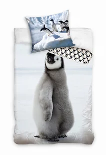 Pościel młodzieżowa  bawełniana 160x200 pingwin - Pościel dla dzieci - miniaturka - grafika 1