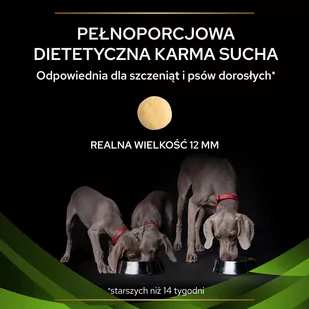 PRO PLAN Veterinary Diets  HA Hypoallergenic Karma sucha dla psa 1,3kg - Sucha karma dla psów - miniaturka - grafika 5