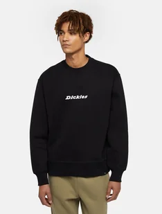 felpa uomo dickies enterprise - dk0a4z4k blk1 black - Bluzy męskie - miniaturka - grafika 1