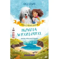 Książki edukacyjne - Przygoda w foczej zatoce. Tosia z Mewiej Wyspy - miniaturka - grafika 1