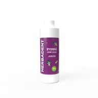 Płyny do płukania jamy ustnej - HERBADENT JUNIOR Spearmint Ziołowy płyn do płukania dla dzieci bez fluoru od 7 lat łagodna mięta 240 ml - miniaturka - grafika 1