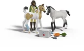 Figurki dla dzieci - Schleich Sarahs First Aid Kit - miniaturka - grafika 1