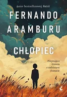 Literatura obyczajowa - Chłopiec - Fernando Aramburu - miniaturka - grafika 1