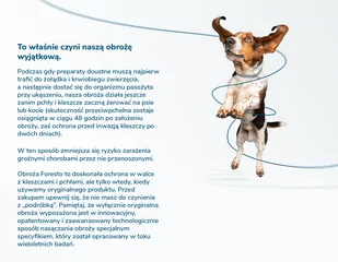 BAYER Foresto Obroża dla kotów i psów poniżej 8kg + NIESPODZIANKA DLA PSA GRATIS !! - Artykuły przeciw pasożytom - miniaturka - grafika 6