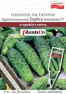 PlantiCo Ogórek gruntowy Soplica mieszaniec F1 na taśmie z nawozem - znacznik GRATIS 100459 - Nasiona i cebule - miniaturka - grafika 1