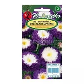 Nasiona i cebule - Aster chiński pomponowy Supreme Belstead fioletowy 0,5g Legutko dwubarwny - miniaturka - grafika 1