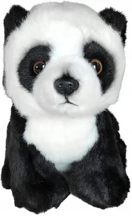 Maskotka Miś Panda DUBI - 19cm - Maskotki i pluszaki - miniaturka - grafika 1