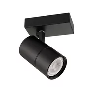 Lampy sufitowe - Italux Sufitowa LAMPA plafon LACONI SPL-2813-1B-BL regulowana OPRAWA metalowy spot reflektorek czarne SPL-2813-1B-BL - miniaturka - grafika 1